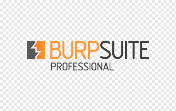 Burp suite Professional